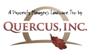Property Manager's Landscape Tip Podcast Logo